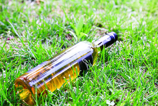 社区团购 蔻本枝  奥地利进口葡萄汁礼盒（750ml*2瓶） 商品图4