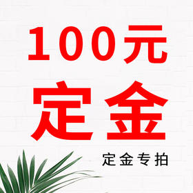 100元定金专拍
