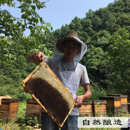 五星三湾天然纯农家深山百花蜜自产正宗野生成熟封盖土蜂蜜250g*4瓶精品红色礼盒装 商品图5