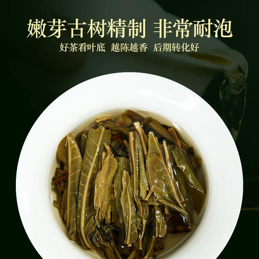 190     陈氏●秘境●布朗山古树●2020版●一款老厂长亲自监制的茶叶，一款性价比高口感非常不错的生茶。清仓 商品图2
