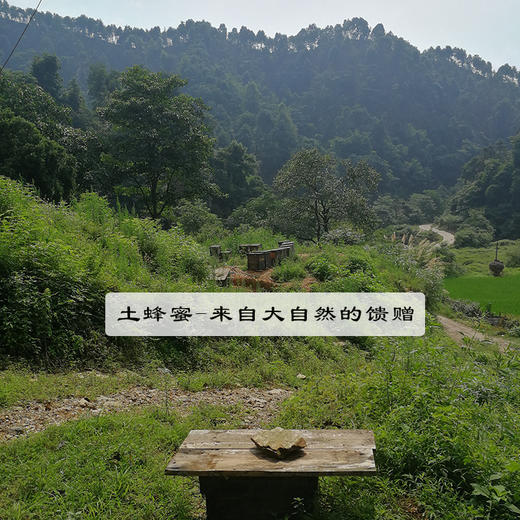 五星三湾天然纯农家深山百花蜜自产正宗野生成熟封盖土蜂蜜250g*4瓶精品红色礼盒装 商品图7