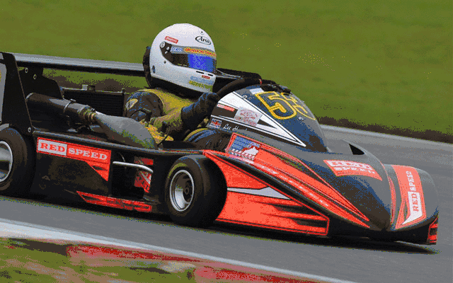 【坐标公益西桥】丰台亲子仅58元抢原价118元嘉安卡丁车成人/儿童(二