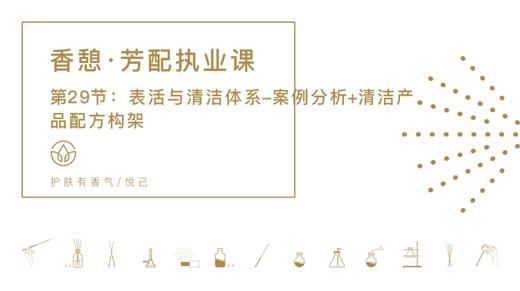 第29节：表活与清洁体系-案例分析+清洁产品配方构架 商品图0