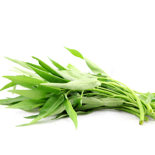 蔬菜叶子类空心菜竹叶菜蕹菜约1斤500g