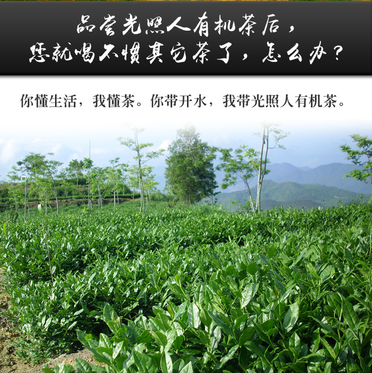 光照人有机茶 有机红茶 甜醇柔润5g*25