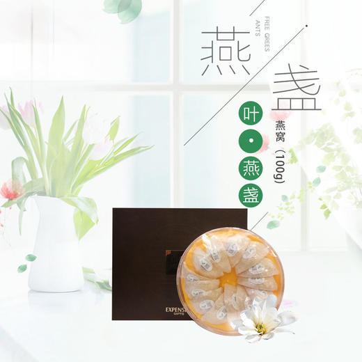 特等A级优质燕盏50g— 100g 商品图0