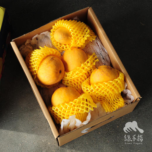 生态芒果 | 合作生产 *Eco- mango | Coproduction 商品图6