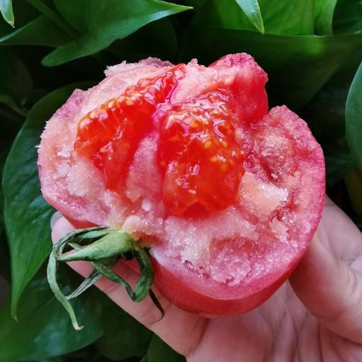 普罗旺斯奋斗柿5斤沙甜可口汁水丰盈小时候西红柿的味道