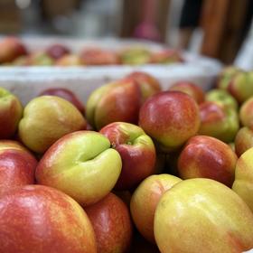 初夏🍑-春雪桃+油桃