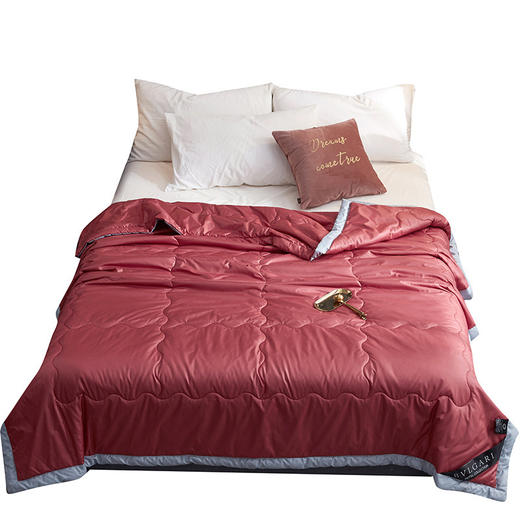 【升级水洗真丝夏被】纯色裸睡亲肤空调夏凉被 可水洗丝滑单双人空调被 商品图4