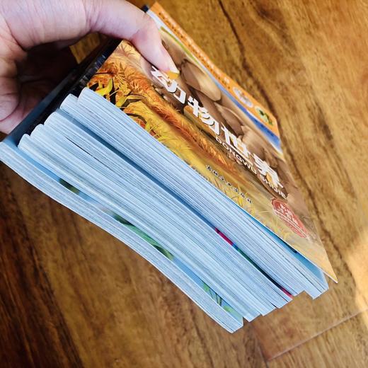 写给儿童的百科全书 全6册 彩图注音版 动物世界大百科 6-12岁 少儿图书科普类 鸟类王国周岁海底 恐龙书海洋植物帝国 商品图6