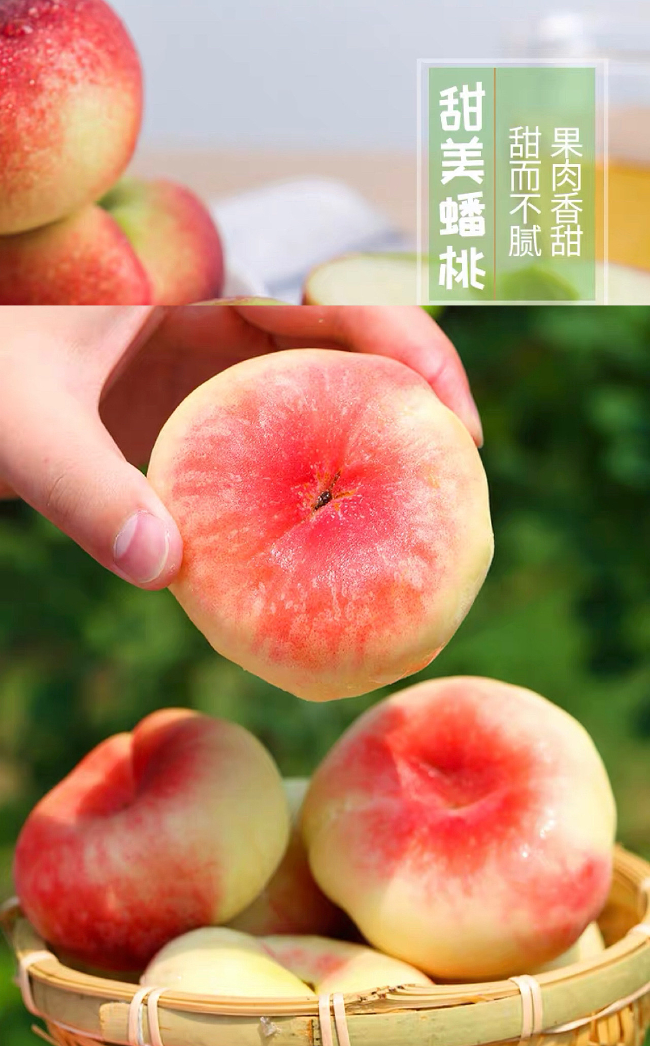 产地直邮秦岭露天红蟠桃果肉细腻如奶油肉多核小香甜味浓郁现摘现发