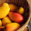 生态芒果 | 合作生产 *Eco- mango | Coproduction 商品缩略图5