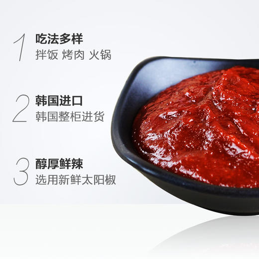 韩国好餐得辣椒酱500g 商品图7