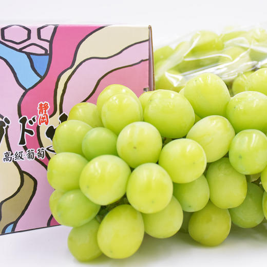 日本引种静冈阳光晴王葡萄