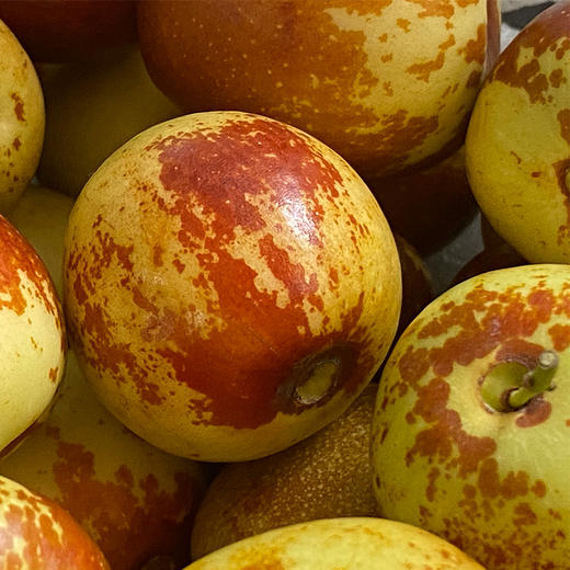 山西运城冰羊奶枣颜色金黄片片红成熟度高清脆酥甜酥度和甜度都很好