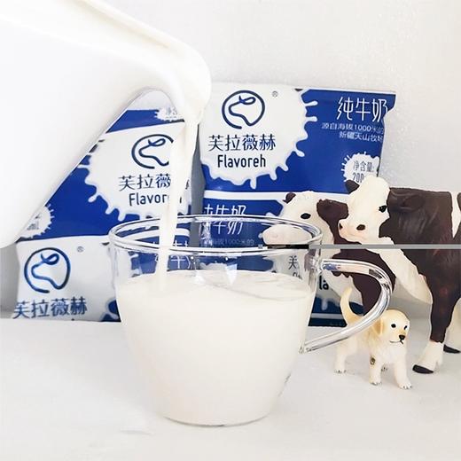 【新疆芙拉薇赫纯牛奶】200ml*16/箱 源自海拔1000米的新疆天山牧场 商品图1