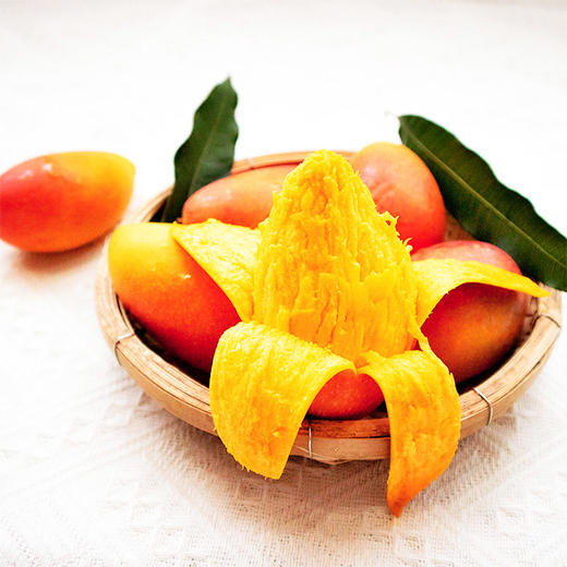 云南贵妃芒红土高原的金凤凰云南元江贵妃芒