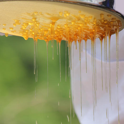 秦岭天然高山蜂蜜500g  天然百花蜂蜜   纯净天然营养丰富口感醇香 商品图2