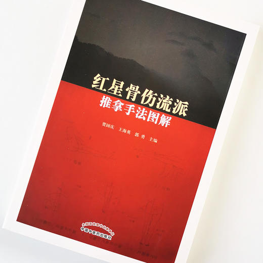 红星骨伤流派推拿手法图解【贾国庆 王海英 郭勇】 商品图1