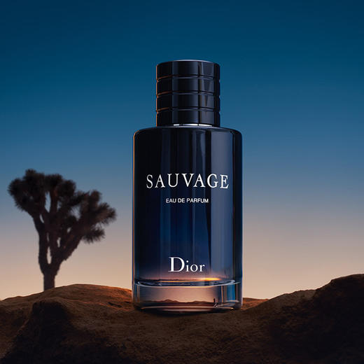 Dior 迪奥旷野 男士浓香/淡香水60ML/100ML 商品图2