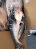 【百汇到家】开背巴沙鱼*2条 商品缩略图0