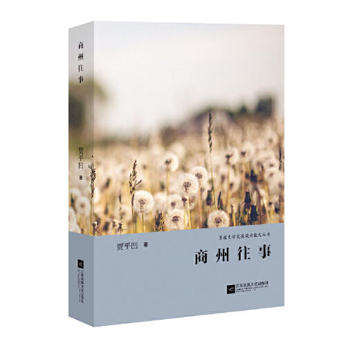 商州往事 商品图0