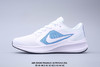 耐克 Nike Air Zoom Pegasus 登月十代 商品缩略图0