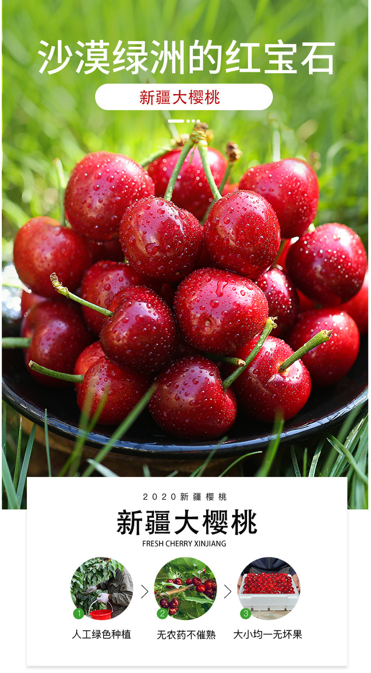 72小时内发货新疆沙漠樱桃38斤顺丰空运县级以下地区不发货