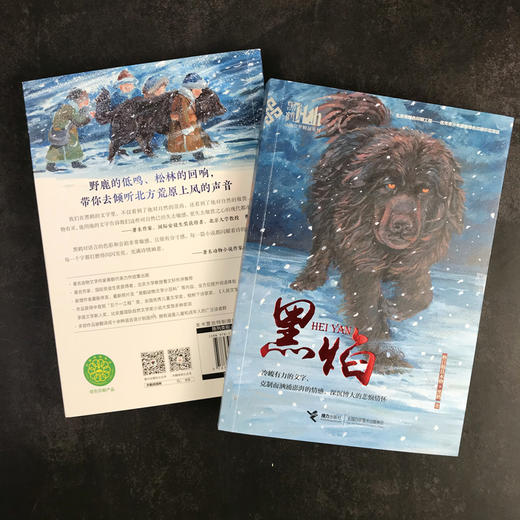黑鹤动物文学精品系列·黑焰（插图版） 格日勒其木格·黑鹤长篇小说 儿童课外读物 商品图2