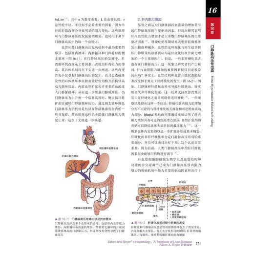 Zakim & Boyer肝脏病学 原书第7版 商品图2