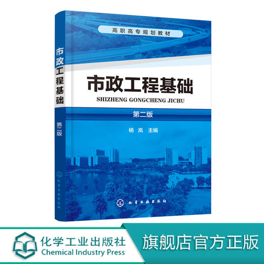市政工程基础（第二版）(杨岚) 商品图0
