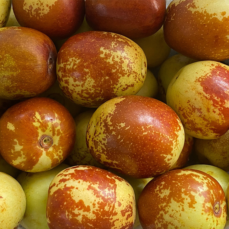 山西运城冰羊奶枣颜色金黄片片红成熟度高清脆酥甜酥度和甜度都很好