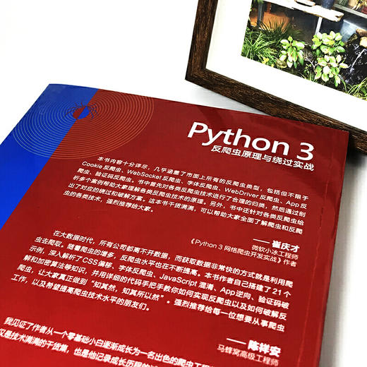 Python 3反爬虫原理与绕过实战 商品图2