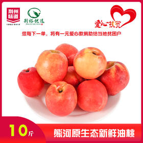 满园红精品油桃10斤装