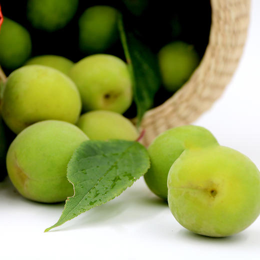 【产地直供】云南大理·野生青梅大果 泡青梅酒 饮一杯夏天