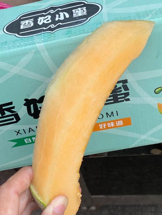 周四秒杀:正宗新疆香妃小蜜哈密瓜 !甜掉牙!水份超足!脆甜爽口!