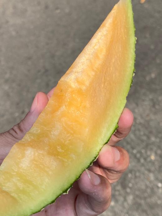 周四秒杀:正宗新疆香妃小蜜哈密瓜 !甜掉牙!水份超足!脆甜爽口!