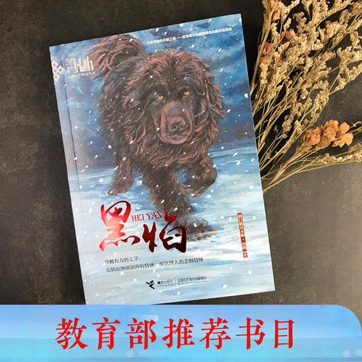 黑鹤动物文学精品系列·黑焰（插图版） 格日勒其木格·黑鹤长篇小说 儿童课外读物 商品图1