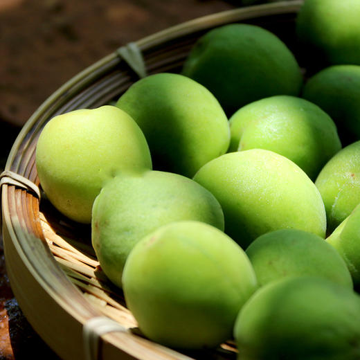 【产地直供】云南大理·野生青梅大果 泡青梅酒 饮一杯夏天