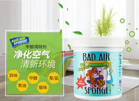 美国BAD AIR SPONGE空气净化剂14oz 400g 去甲醛小红书神器JPY带授权招加盟代理