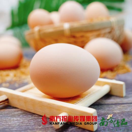 【全国包邮】农家自产土鸡蛋  30枚/份 商品图0