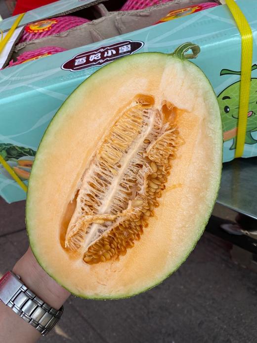 周四秒杀:正宗新疆香妃小蜜哈密瓜 !甜掉牙!水份超足!脆甜爽口!
