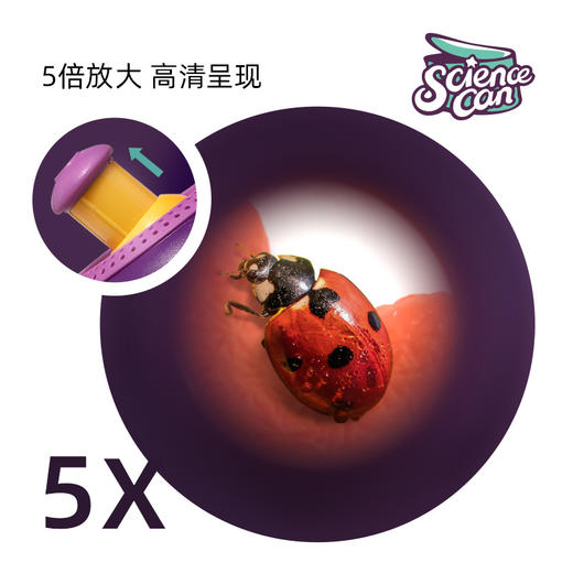 【360度旋转放大镜观察养金鱼、蚕宝宝、乌龟】埃尔顿多功能观察桶幼儿园小学生户外探索玩具 商品图1