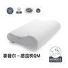 8F  TEMPUR泰普尔感温枕QM 商品缩略图1