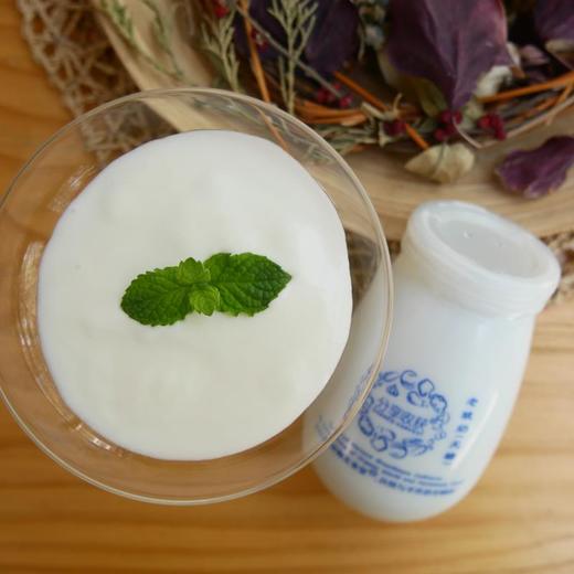 甄品酸奶无糖农场自产有机厨房oldyogurt