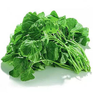 白苋菜 White Amaranth 250g 商品图1