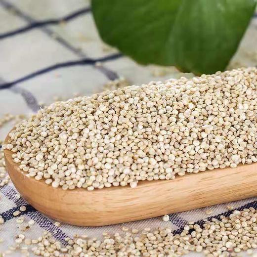 巩村长山西静乐藜麦三色藜麦500g2特产代餐谷物杂粮粗粮q弹易消化宝