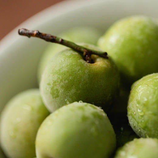 【产地直供】云南大理·野生青梅大果 泡青梅酒 饮一杯夏天