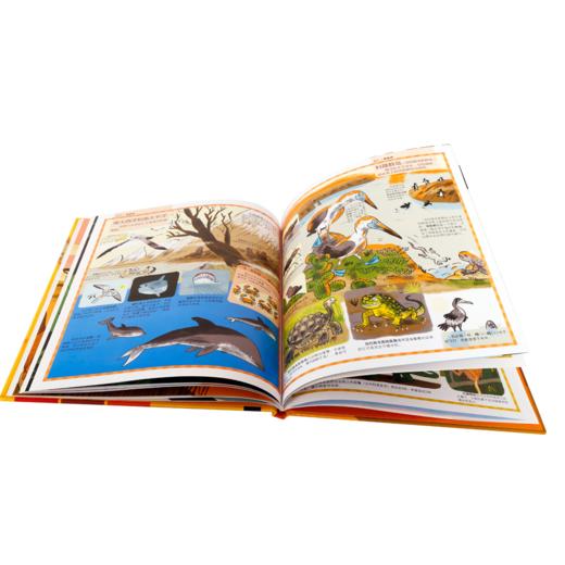 看地图认世界动物—拉鲁斯儿童人文百科 原价56.8 商品图4